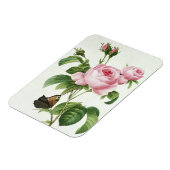 Magnet Flexible Rosa Centifolia (Côté Gauche)