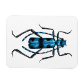 Magnet Flexible Rosalia Alpina (Horizontal)