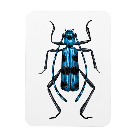 Magnet Flexible Rosalia Alpina (Vertical)