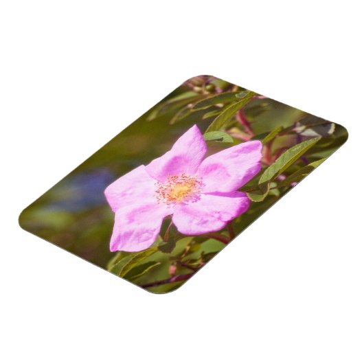 Magnet Flexible Rose (Côté Gauche)