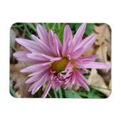 Magnet Flexible rose (Horizontal)