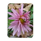 Magnet Flexible rose (Vertical)