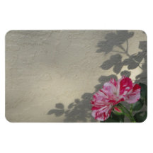 Rose Avant-garde et Ombre