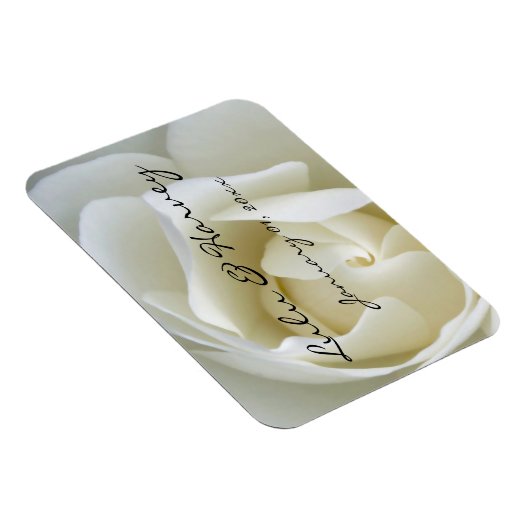 Magnet Flexible Rose blanche crêpe (Côté Droit)