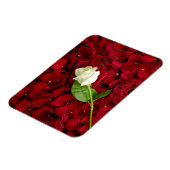 Magnet Flexible Rose blanche sur pétales rouges (Côté Gauche)