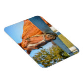 Magnet Flexible Rose Crépuscule | Cheval de Course Pur-Sang (Côté Droit)