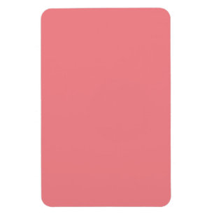 Magnet Flexible Rose Daisy, Rose Rose, Sherbet Rose,