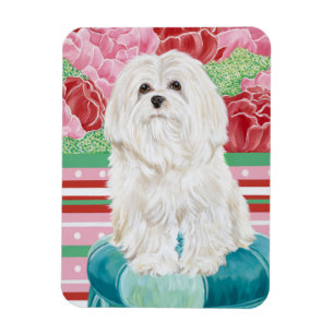 Magnet Flexible Rose de Della maltais