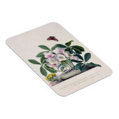Magnet Flexible Rose de Noël (Helleborus niger) et Aconi d'hiver (Côté Droit)