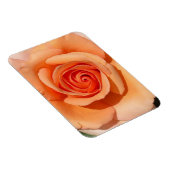 Magnet Flexible Rose de plage (Côté Droit)