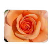 Magnet Flexible Rose de plage (Horizontal)