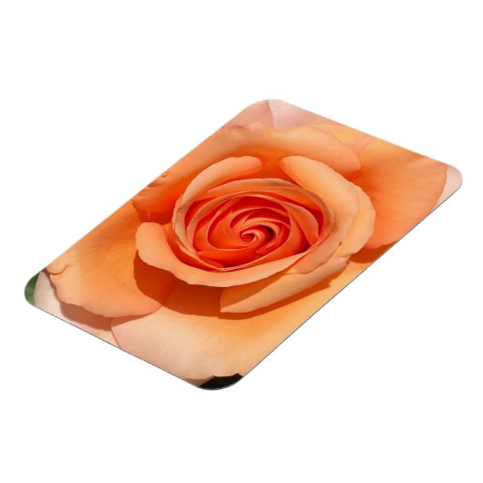 Magnet Flexible Rose de plage (Côté Gauche)