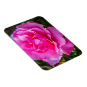 Magnet Flexible Rose délicate. (Côté Droit)