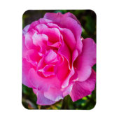Magnet Flexible Rose délicate. (Vertical)