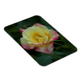 Magnet Flexible Rose, l'amour ! (Côté Droit)