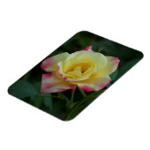 Magnet Flexible Rose, l'amour ! (Côté Gauche)