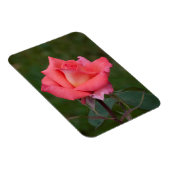 Magnet Flexible Rose, l'amour ! (Côté Droit)
