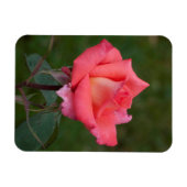Magnet Flexible Rose, l'amour ! (Horizontal)
