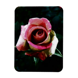 Magnet Flexible Rose Peinte à l'Huile