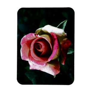 Magnet Flexible Rose peinte à l'huile en rouge