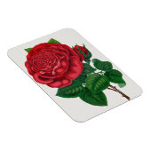 Magnet Flexible Rose Print Rochester Lithographing and Printing Co (Côté Droit)
