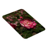 Magnet Flexible Rose rose et blanc (Côté Droit)