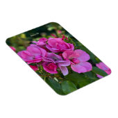 Magnet Flexible Rose Rose Lavande (Côté Droit)