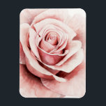 Magnet Flexible Rose rose rose<br><div class="desc">Rose I par Grace Popp. Dispose d'un rose tout proche dans une belle palette muette.</div>