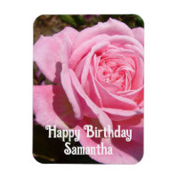 Rose rose Rose Fleurs florales Anniversaire