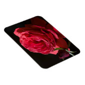 Magnet Flexible Rose rouge (Côté Droit)