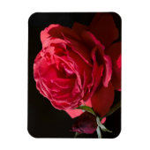 Magnet Flexible Rose rouge (Vertical)