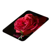 Magnet Flexible Rose rouge (Côté Gauche)