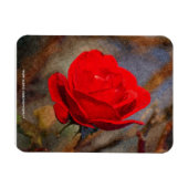 Magnet Flexible Rose rouge (Horizontal)