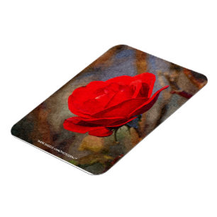 Magnet Flexible Rose rouge