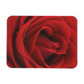Magnet Flexible Rose rouge florissante (Horizontal)
