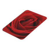 Magnet Flexible Rose rouge florissante (Côté Gauche)