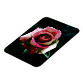 Magnet Flexible Rose rouge peinte à l'huile (Côté Gauche)