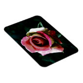 Magnet Flexible Rose rouge peinte à l'huile (Côté Droit)
