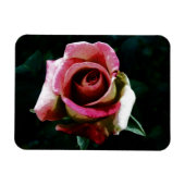 Magnet Flexible Rose rouge peinte à l'huile (Horizontal)