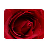Magnet Flexible rose rouge profonde (Horizontal)