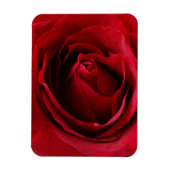 Magnet Flexible rose rouge profonde (Vertical)