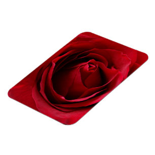 Magnet Flexible rose rouge profonde