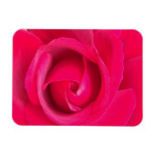 Magnet Flexible Rose rouge romantique (Horizontal)