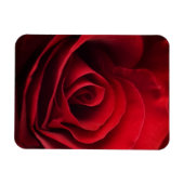 Magnet Flexible Rose rouge Valentine (Horizontal)