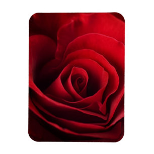 Magnet Flexible Rose rouge Valentine