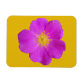 Magnet Flexible Rose sauvage 2 (Horizontal)