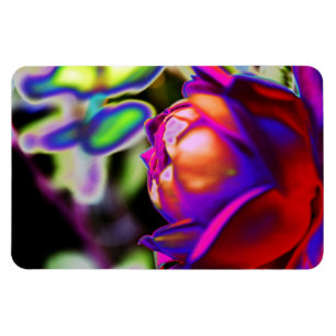 Magnet Flexible Rose solarifié par Shirley Taylor