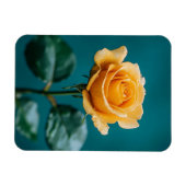 Magnet Flexible Rose unique (Horizontal)