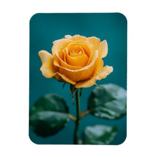 Magnet Flexible Rose unique