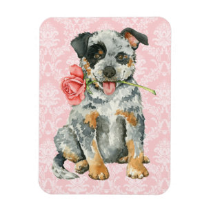 Magnet Flexible Rose Valentine ACD